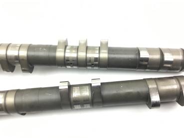 Yamaha FZS 1000 FZ1 Fazer 5EG Nockenwellen Einlass Auslass 01-05
