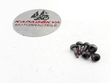 Honda CBR 1100 XX SC35 Bremsscheibenschraube
