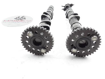 Honda CBR 1000 RR SC57 Bj.04-07 Zylinderkopf mit Nockenwellen