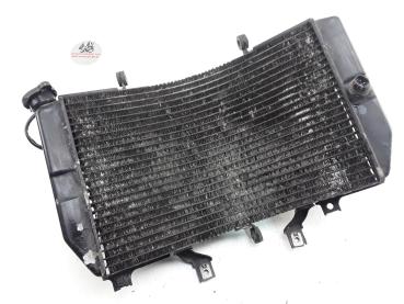 Suzuki GSXR 1000 K1 K2 Kühler Wasserkühler mit Radiator Fan