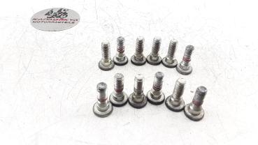 KTM Duke 390 Bj.2017-2019 original Satz Bremsscheibenschrauben vorne + hinten