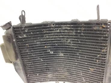 Yamaha R6 03-05 RJ09 Kühler Wasserkühler Radiator