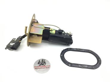 Kawasaki Ninja ZX-12R Benzinpumpe Tank Pumpe Kraftstoffpumpe 01-06