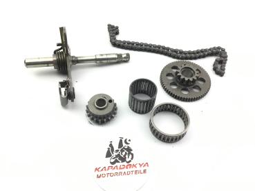 Yamaha YZF R1 RN01 4XV 98-99 Restteile,Steuerkette,Getriebe Schaltwelle,Anlasser Zahnrad