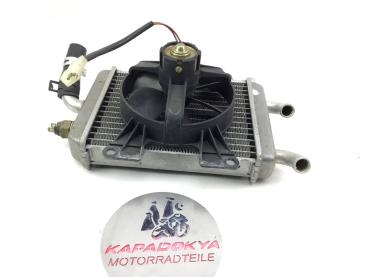 Peugeot Elyseo 125 150 Roller Wasser Kühler Lüfter 98-04