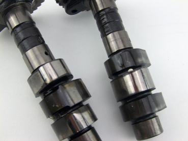 HONDA NTV 650 RC33 Motor Nockenwelle Nockenwellen