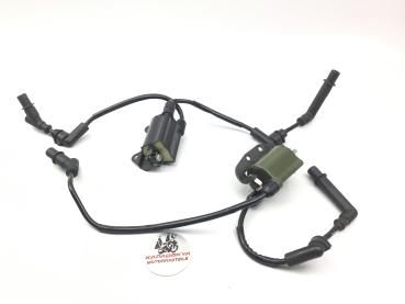 Honda VTX 1800 SC46 VTX 1800C Zündspulen Zündkerzenstecker Kerzenstecker