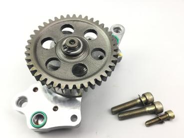 Ducati Monster 916 S4 Ölpumpe Öl Pumpe Pump original