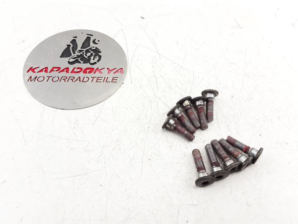 Kawasaki Ninja ZX-12R ZXT20A Bremsscheibe Schrauben vorne