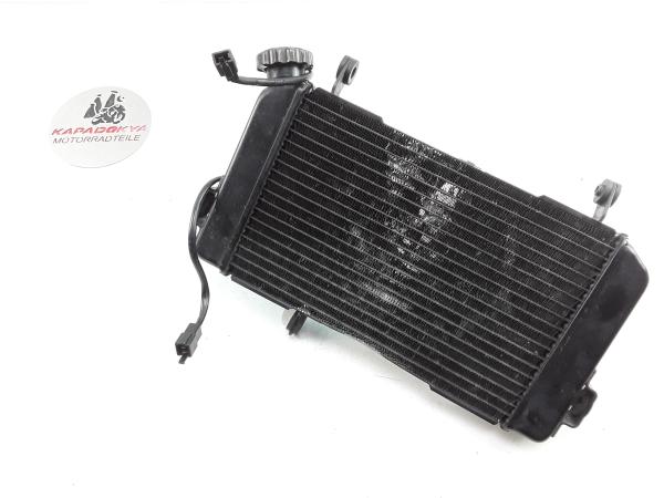 Suzuki SV 650 S Bj.99 -02 Wasserkühler Kühler Radiator Kühlerlüfter