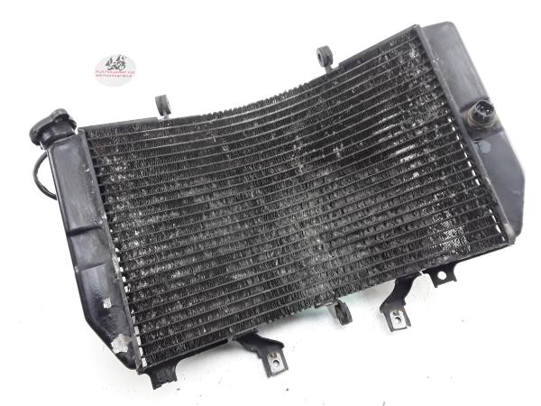 Suzuki GSXR 1000 K1 K2 Kühler Wasserkühler mit Radiator Fan