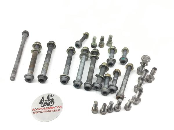 Triumph Speed 955i T509 Motorschrauben,Schrauben original