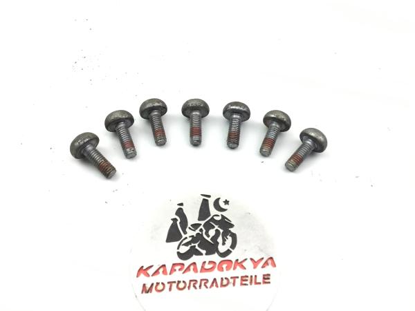 Honda CBR1100XX SC35 Schrauben Bremsscheiben