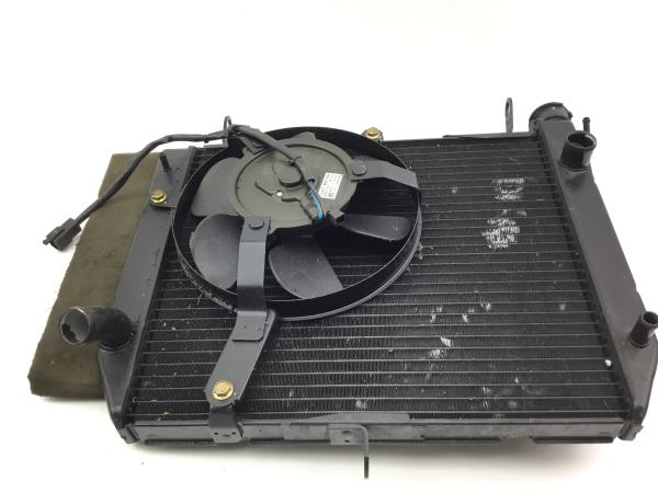 YAMAHA YZF 1000 R1 RN01 RN04 Kühler Radiator Wasserkühler Lüfter