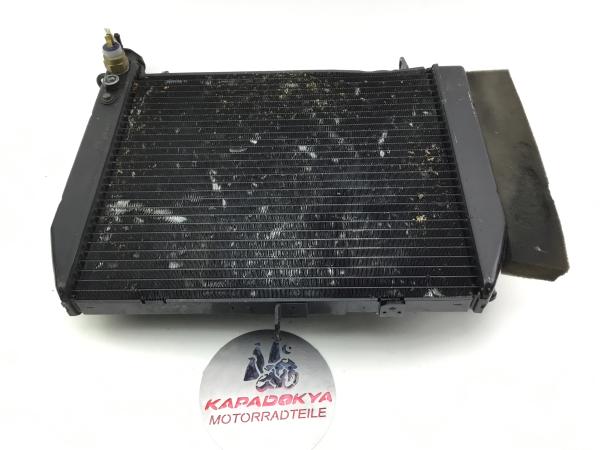 YAMAHA YZF 1000 R1 RN01 RN04 Kühler Radiator Wasserkühler Lüfter