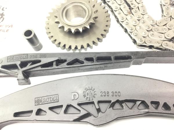 Aprilia RSV1000 RR Mille Tuono RP Steuerkette Zahnrad Kettenführung 98-05