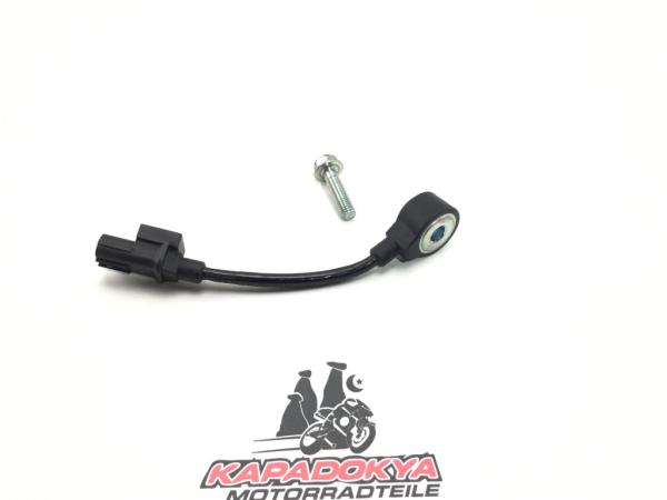 Honda CBR 600 RR PC40 Motor Sensor Klopfsensor